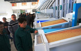 我县建成首条 中国好粮油 大米生产线